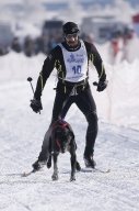 Lenk 2013